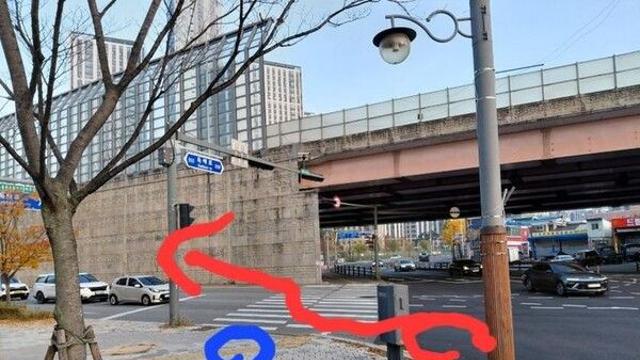 역주행 배달기사 제지하자…