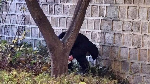 경복궁 돌담서 쭈그려 앉아 용변 본 남성, 범칙금 5만원