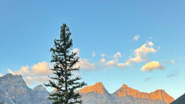 요즘 젠지들 사이에서 난리 난 추구미 '그래놀라 걸'이 뭐길래?