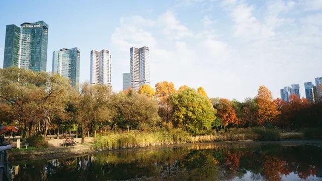 콩탁스 g21, 후지400, 서울숲