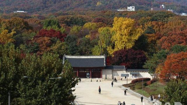 종로구, 종묘 앞 재개발 논란에 