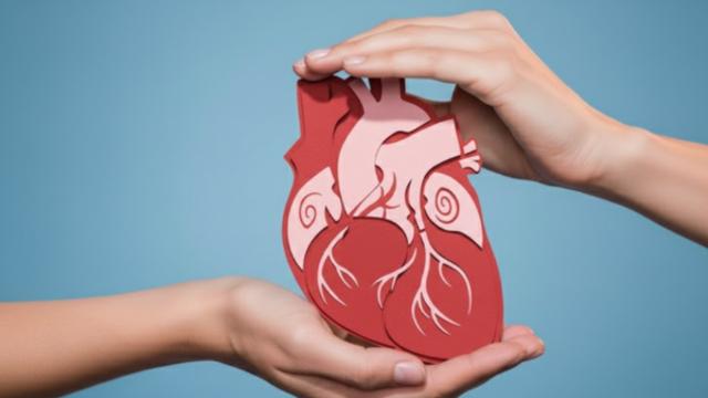 중년기 심장 건강 나쁘면 노년기 인지증 위험 커진다