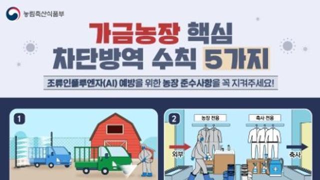 농식품부, 전북 부안 육용오리 농장에 대한 정기 예찰 검사에서 H5형 조류인플루엔자 항원 확인