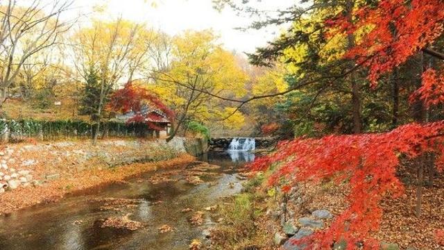 용인 가볼 만한 곳, 가족과 함께하는 즐거움이 가득한 공간