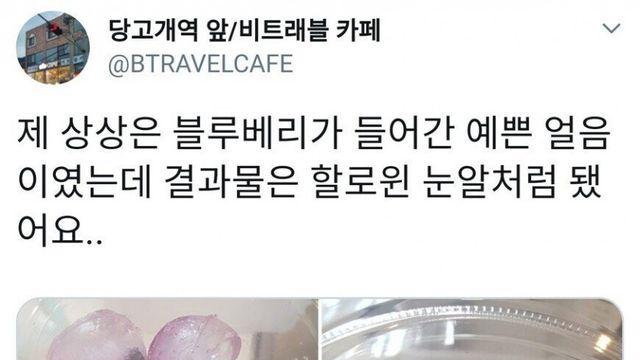 블루베리 얼음 물.