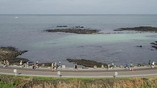 국내외 8000여 달림이 감귤사랑 안고 달린다