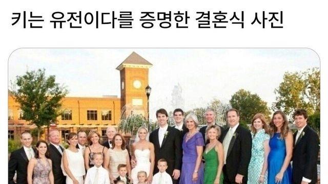 키는 유전이다를 증명한 결혼식 사진