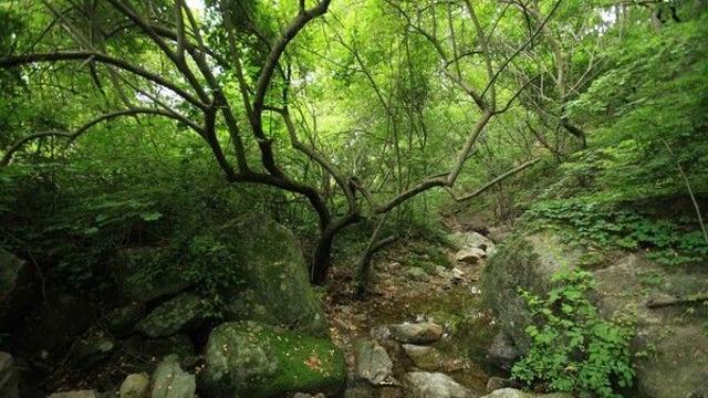 양평 용문산 자락에서 만나는 가을 풍경