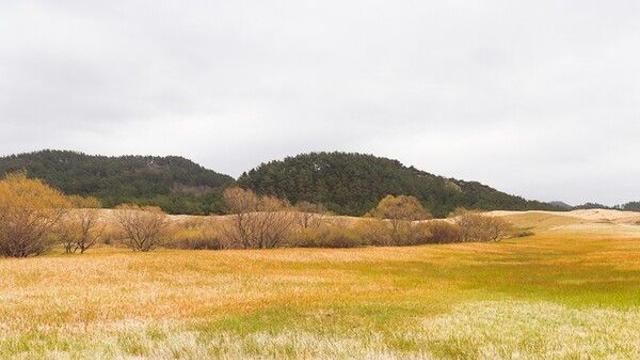 충남 태안 가을여행, 해안사구·오션뷰 카페·앤틱 감성까지 모두 즐겨볼까!