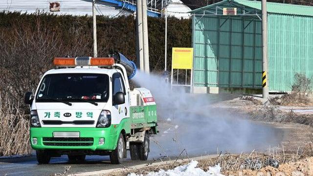 부산 을숙도생태공원서 고병원성 AI 검출…