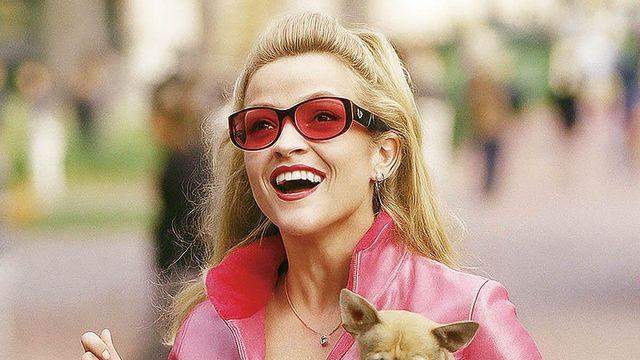 반려견도 핑크! 핑크 하네스, 핑크 패딩으로 깔맞춤 좋아요