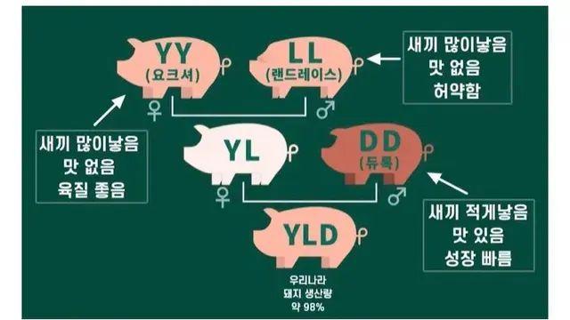 요즘 삼겹살이 평타이상은 쳐주는 이유,,