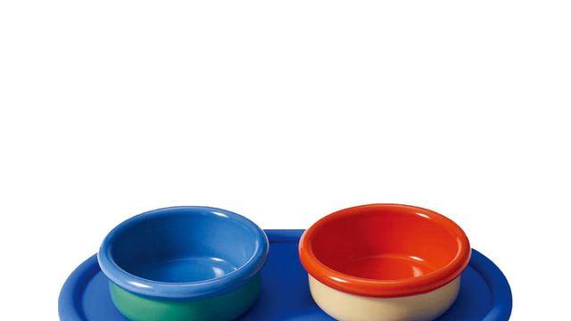 우리집 귀요미를 위한 핀터레스트 감성 펫용품 추천 9