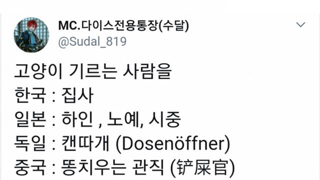 국가별 고양이랑 같이 사는 사람 부르는 명칭