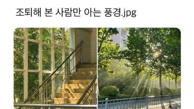 조퇴 해본 사람만 아는 풍경