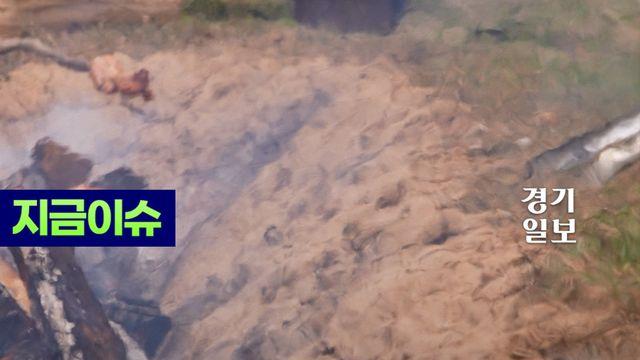 구석기 세계관에 너무 진심인 축제; 오늘 다녀왔습니다! 연천 구석기 축제!