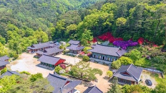 홍천 가볼 만한 곳, 숲과 정원, 그리고 커피 향 가득한 가을날