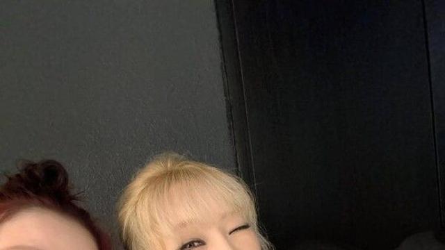 2NE1 산다라박, 씨엘·공민지와 '생일 미리 축하' 쓰리샷 공개 