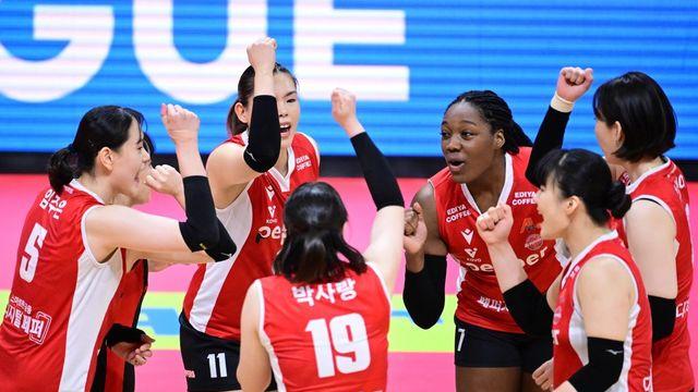 프로배구 페퍼, 흥국생명 잡고 2위로 껑충…시마무라 '원맨쇼'