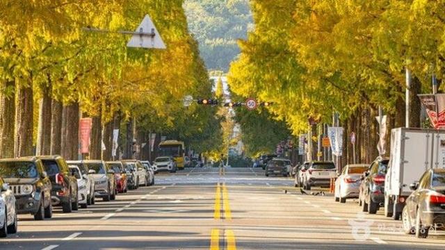 가을 창원, 바다·문화·미식이 어우러진 힐링 여행지