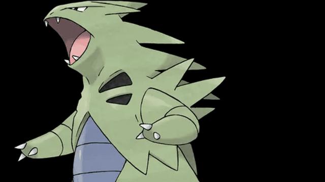 의외로 유일한 타입 조합에 속한 포켓몬들