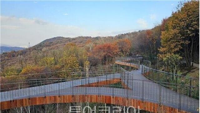 “서울둘레길 용마산 스카이워크 전망대서 단풍 즐겨보세요”