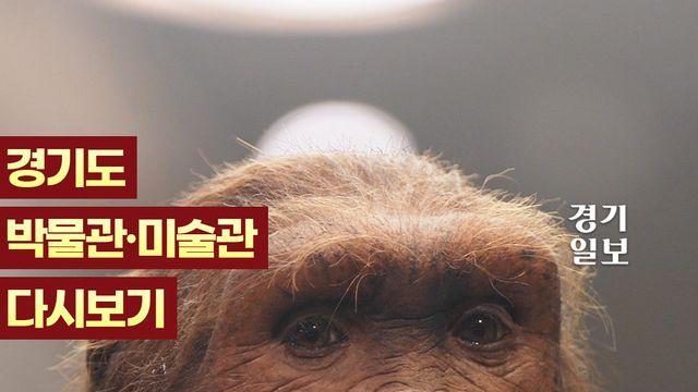 아들! 맘모스 먹고 가야지...선사시대 체험 가능한 박물관