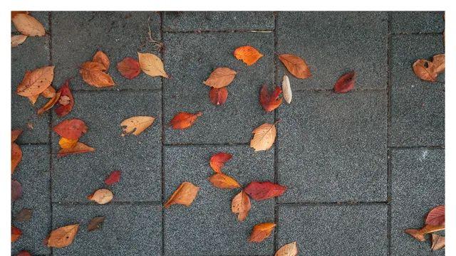 인기없는 RF16-28 첫사진들