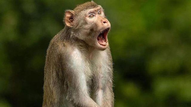 끼에에에에에에에엑!!!!!!