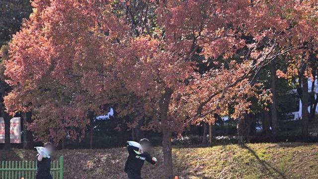 광주·전남, 맑고 큰 일교차…낮 최고 17도