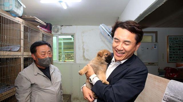 강원도, 유기동물 안락사 ‘제로화’ 달성