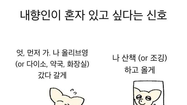 내향인이 혼자 있고 싶을때,,