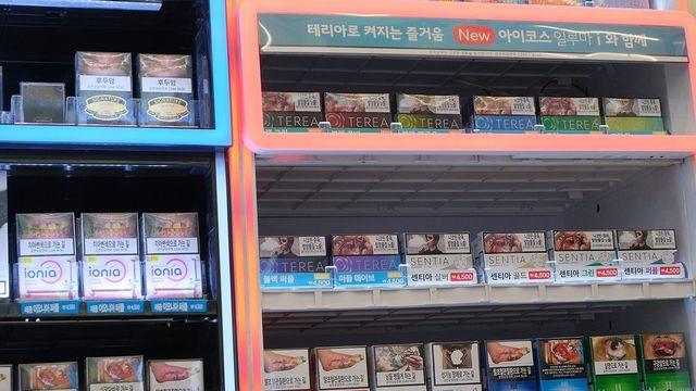 담배 유해성분 내년 첫 공개…궐련형, 타르 등 44종 검사