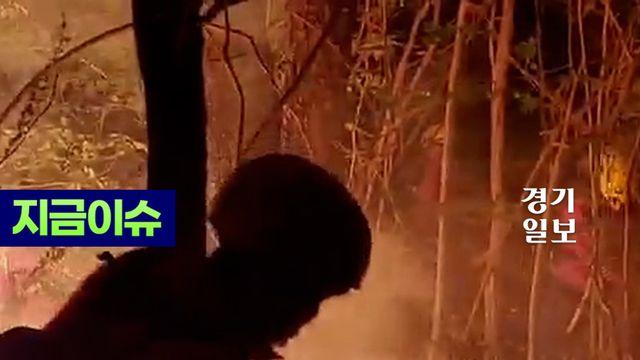 진화헬기 53대, 진화인력 1,551명 동원... 대구 북구 산불 이틀째