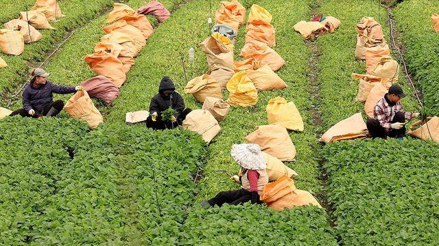 제주 대체로 맑음…낮 최고 16∼21도