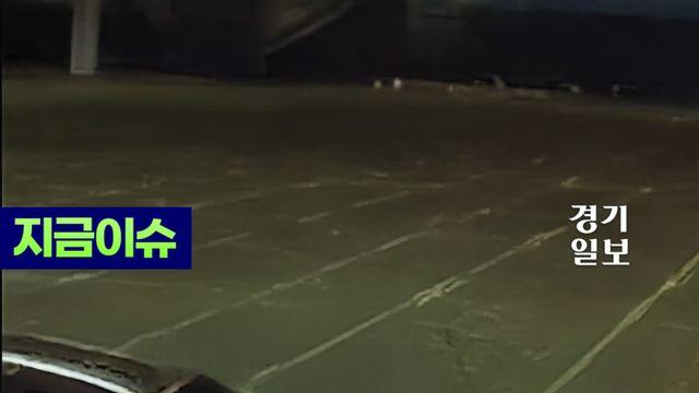 갑자기 사라진 아들?...