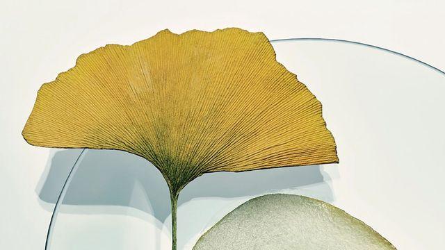 만성 염증이 피부 노화를 부른다?