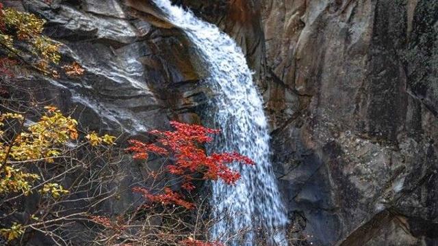 철원의 폭포·브런치·도넛까지!...가을에 가면 더 좋은 여행코스 완전정복