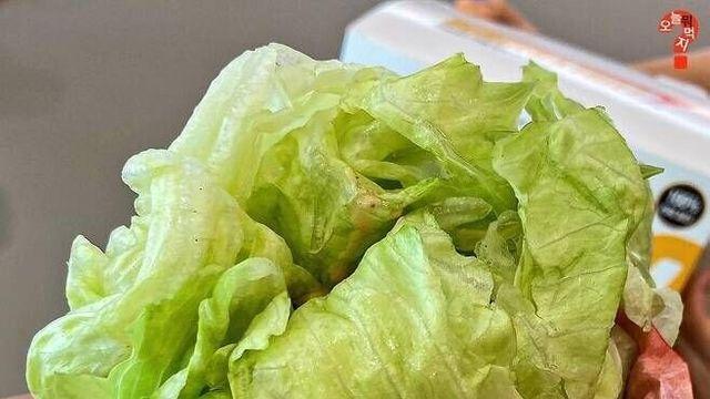 다이어트 버거란 이런거다.