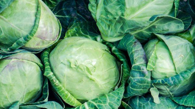 연말 모임 시즌, 간 건강 챙기고 싶다면 꼭 먹어야 할 음식 4