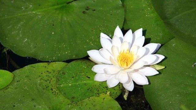 가을에 가볼 만한 곳, 벽초지수목원의 고즈넉함과 파주 미식 여행