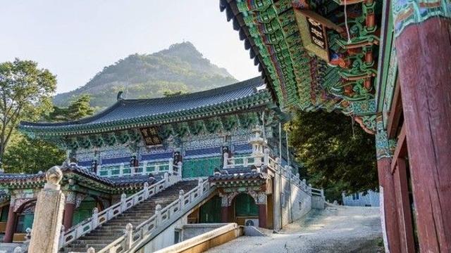 가을빛으로 물든 포천, 숲과 바람이 전하는 휴식의 시간