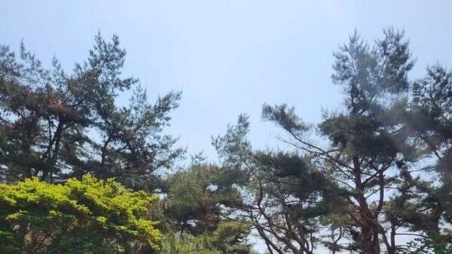 '나는 솔로' 28기 광수, 정희 딸까지 언급하며 '재혼' 강력 시사 