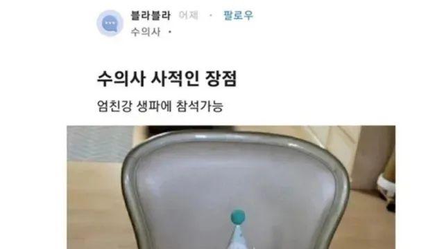 수의사의 사적인 장점