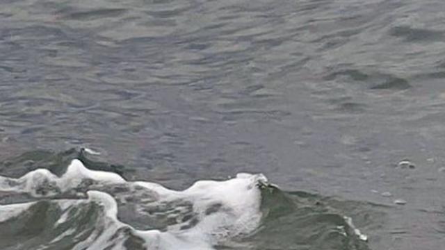 우리 댕댕이가 뭔가 달라 보여.