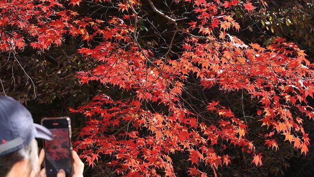 대전·세종·충남 맑고 오전까지 곳곳에서 안개…낮 최고 17도