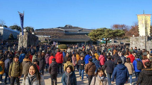 41년 만에 경사 터졌다…올해 51만명 넘는 사람이 찾아 난리 난 뜻밖의 '장소'