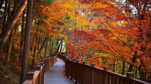 대구·경북, 15도 안팎 큰 일교차…내륙 짙은 안개 유의