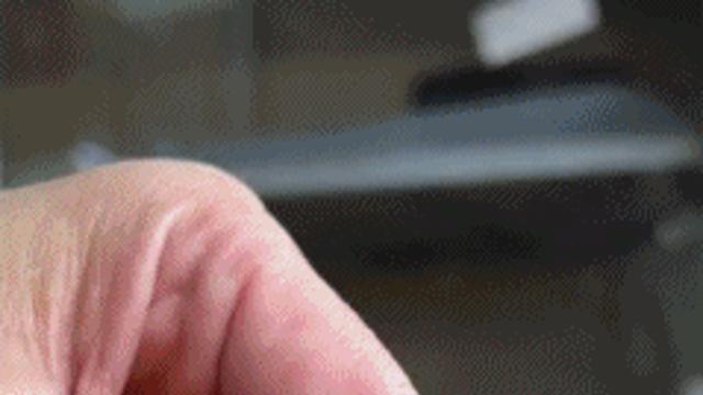 거북이 고문하는 기술.