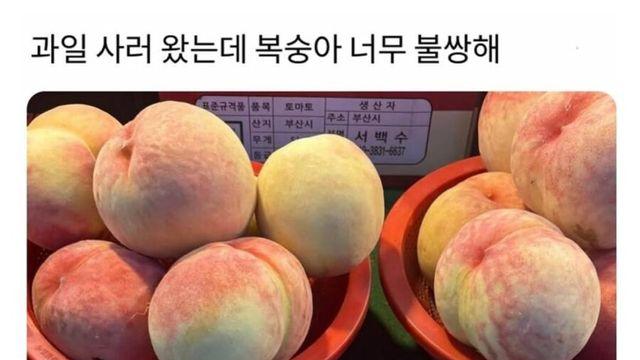가엾고 딱한 복숭아